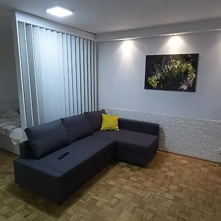 Trgovacka - Apartament Zarkovo